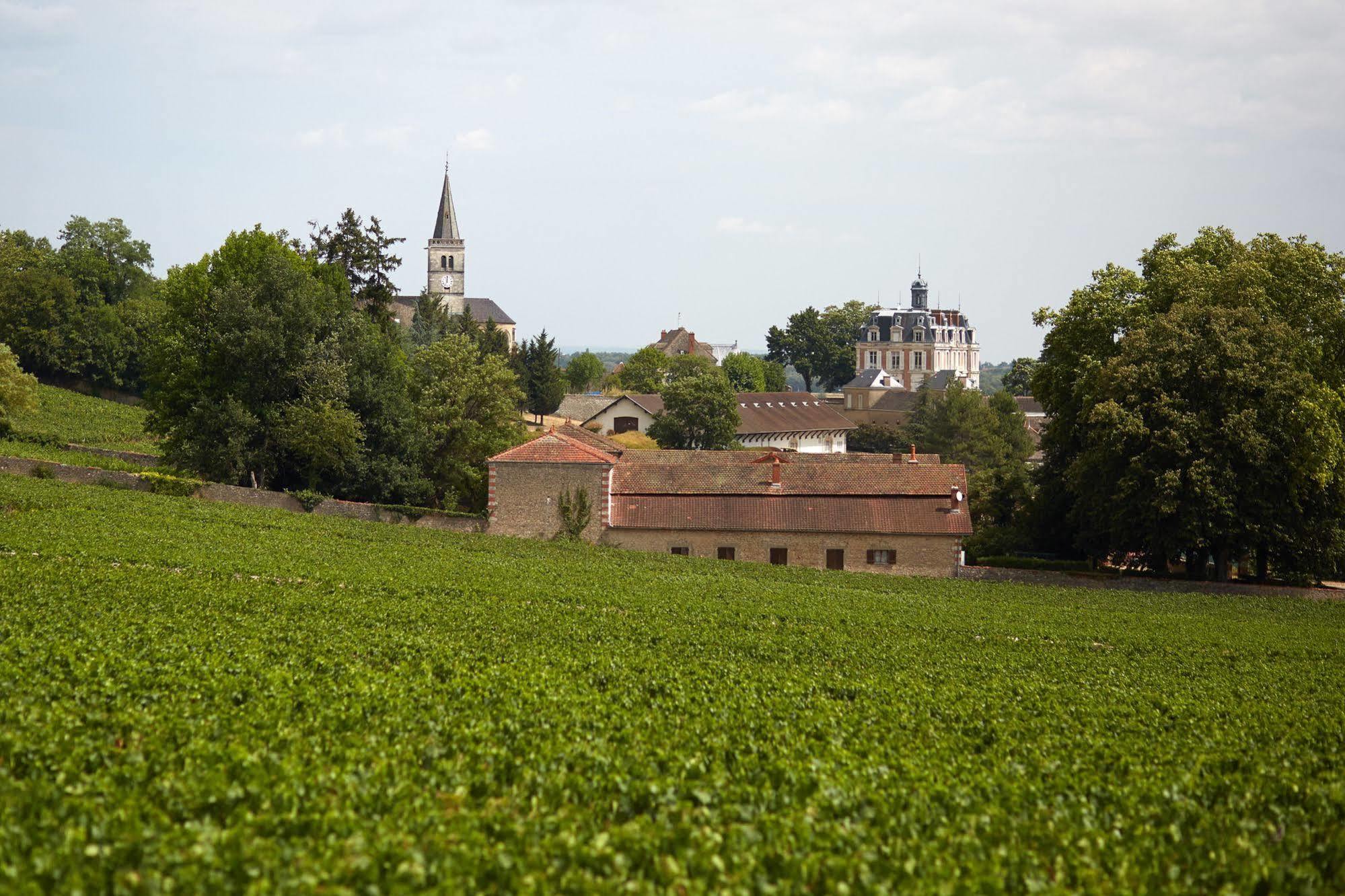 Chateau Saint-Michel - Cercle Des Grands Crus Rully  Exterior foto